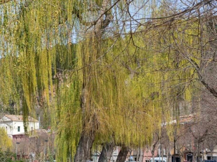 Acogedor Apartamento Cerca Del Casco Antiguo 지로나 외부 사진